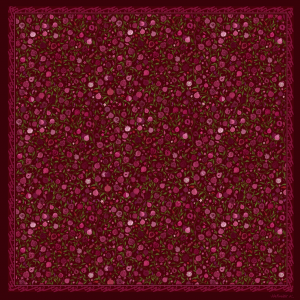 CARRÉ RUMMĀN – PRUNE